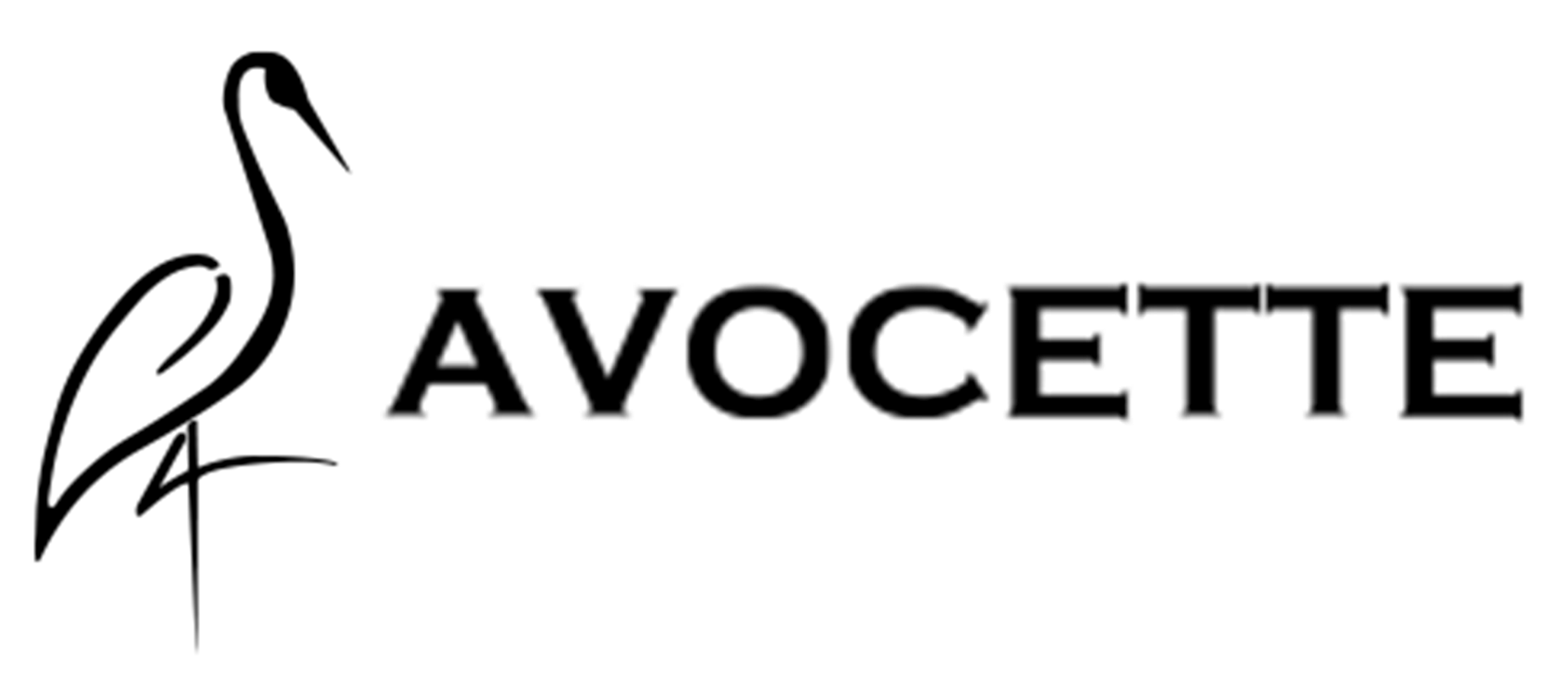 Avocette